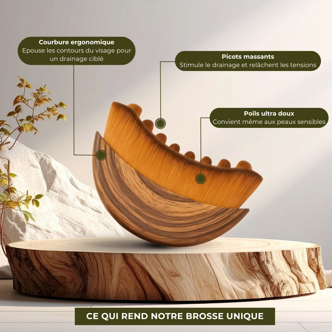 Brosse de Drainage Lymphatique